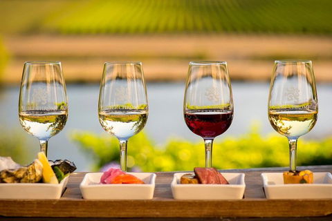 Launceston Private Charter Service - Pubs Sydney 0