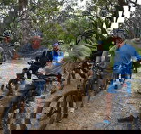 Fully guided E-Mountain Bike Tour on the beautiful Mornington Peninsula. - Pubs Sydney