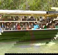 Hartley's Crocodile Adventure Half-Day Tour - Pubs Sydney
