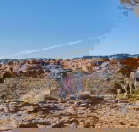 The Amazing Kings Canyon 4-Hours Walking Tour and Hike - Pubs Sydney