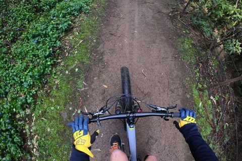 Explore Downhill Mountain In 3-Hour Bike Tour From Hobart - Pubs Sydney 2