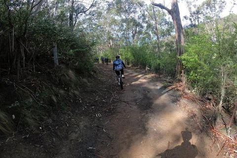 Explore Downhill Mountain In 3-Hour Bike Tour From Hobart - Pubs Sydney 3
