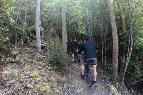 Explore Downhill Mountain In 3-Hour Bike Tour From Hobart - Pubs Sydney 4