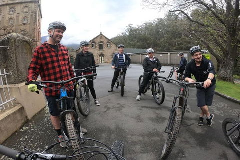 Explore Downhill Mountain In 3-Hour Bike Tour From Hobart - Pubs Sydney 5