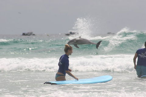 10-Day Surf Adventure From Sydney To Brisbane Including Coffs Harbour, Byron Bay And Gold Coast - Pubs Sydney 0