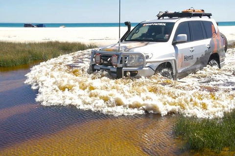 Full-Day Moreton Island 4x4 Sightseeing Tour - Pubs Sydney 0