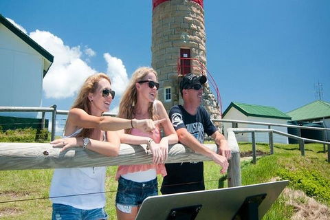 Full-Day Moreton Island 4x4 Sightseeing Tour - Pubs Sydney 3