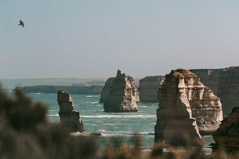 Half-Day Or Full-Day Tour With Private Guide From Melbourne - Pubs Sydney 0