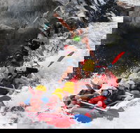 Barron Gorge National Park Half-Day White Water Rafting from Cairns or Port Douglas - Pubs Sydney