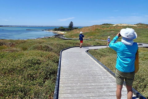 Penguin And Seal Islands Sea Kayaking Experience - Pubs Sydney 1