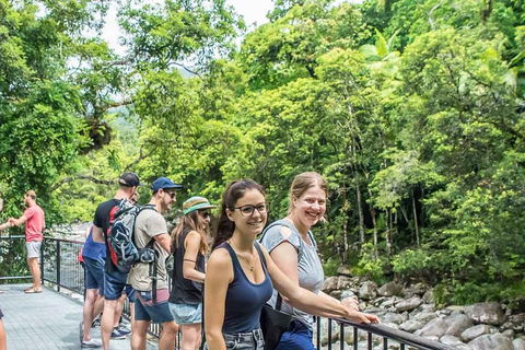 Cape Tribulation, Mossman Gorge, And Daintree Rainforest Day Trip From Cairns Or Port Douglas - Pubs Sydney 0
