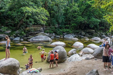 Cape Tribulation, Mossman Gorge, And Daintree Rainforest Day Trip From Cairns Or Port Douglas - Pubs Sydney 1