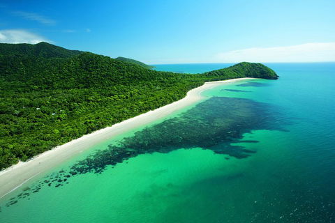 Cape Tribulation, Mossman Gorge, And Daintree Rainforest Day Trip From Cairns Or Port Douglas - Pubs Sydney 2