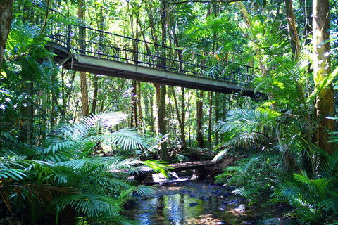 Cape Tribulation, Mossman Gorge, And Daintree Rainforest Day Trip From Cairns Or Port Douglas - Pubs Sydney 3