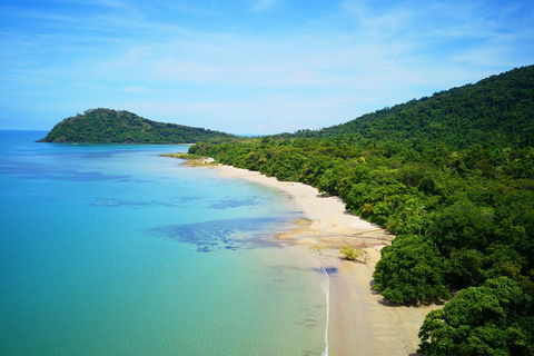 Cape Tribulation, Mossman Gorge, And Daintree Rainforest Day Trip From Cairns Or Port Douglas - Pubs Sydney 5