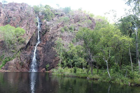 Jumping Crocodile Cruise And Berry Springs Nature Park - Pubs Sydney 5