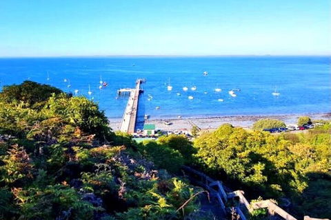 Mornington Peninsula Sightseeing Tour For 2-6 Guests. - Pubs Sydney 1