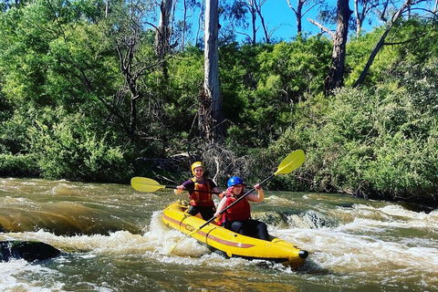 Yarra River Half-Day Rafting Experience - Pubs Sydney 2
