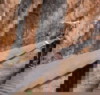 Chillagoe Caves and Outback Day Trip from Cairns - Pubs Sydney