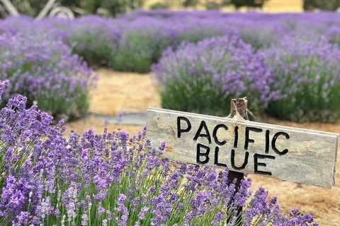 Kangaroo Island Food And Wine Trail Tour - Pubs Sydney 0
