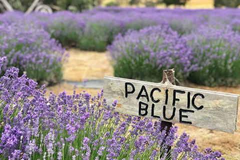 Kangaroo Island Half Day Food And Wine Trail Tour - Pubs Sydney 5