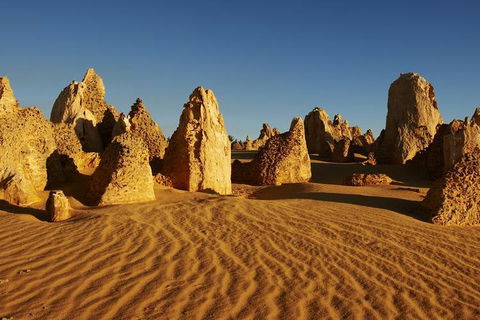 Full Day Pinnacle Desert Explorer From Perth Including Hillarys And Lancelin Sandboarding - Pubs Sydney 3