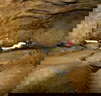 2-Day Wave Rock York Wildflowers  Aboriginal Experience - Pubs Sydney