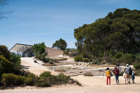 2-Hour Koala Walking Tour In Kangaroo Island - Pubs Sydney 3