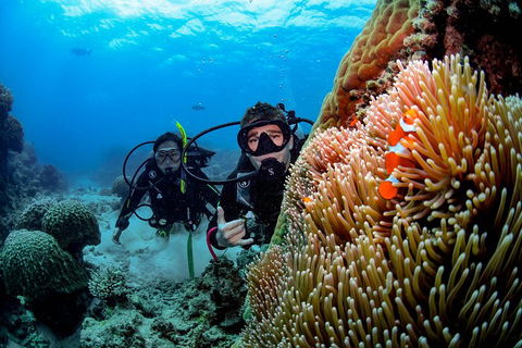Full Day Reef Cruise Including 10 Minute Heli Scenic Flight: Get High Package - Pubs Sydney 5