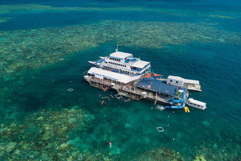 Cruise To Moore Reef Pontoon And Return Helicopter Flight From Cairns - Pubs Sydney 2