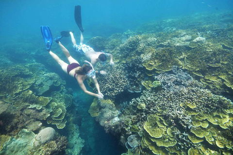 Cruise To Moore Reef Pontoon And Return Helicopter Flight From Cairns - Pubs Sydney 3
