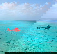 Port Douglas Scenic Flights - Pubs Sydney