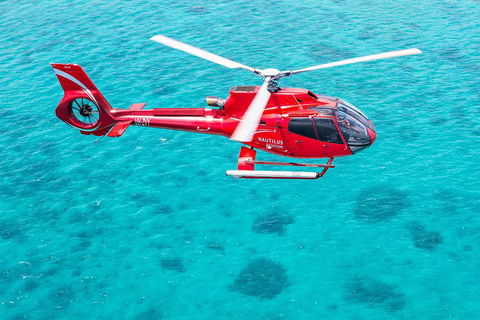Port Douglas Scenic Flights - Pubs Sydney 2