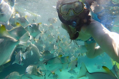 Moreton Island Snorkel And Sandboarding 4WD Day Trip From Brisbane - Pubs Sydney 3