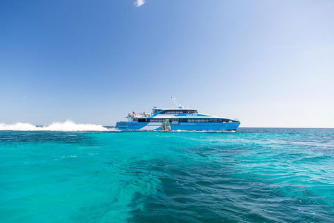 Rottnest Island All-Inclusive Grand Island Tour From Fremantle - Pubs Sydney 0