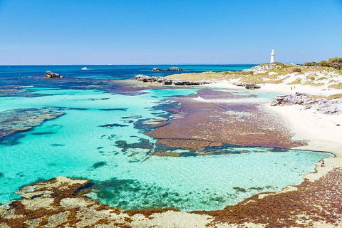 Rottnest Island All-Inclusive Grand Island Tour From Fremantle - Pubs Sydney 1