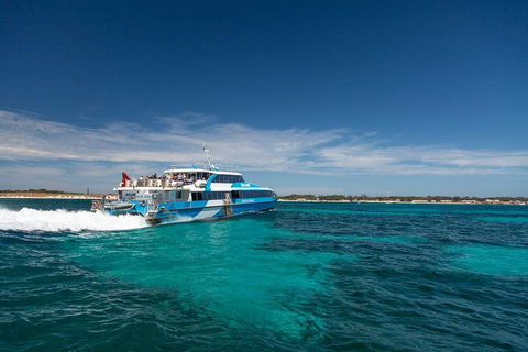 Perth To Rottnest Island Roundtrip Ferry Ticket - Pubs Sydney 4