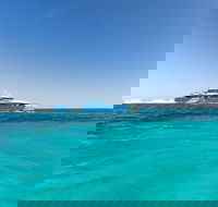 Rottnest Island Bayseeker Day Trip from Perth - Pubs Sydney