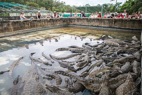 Hartley's Crocodile Adventures Day Trip From Cairns - Pubs Sydney 0