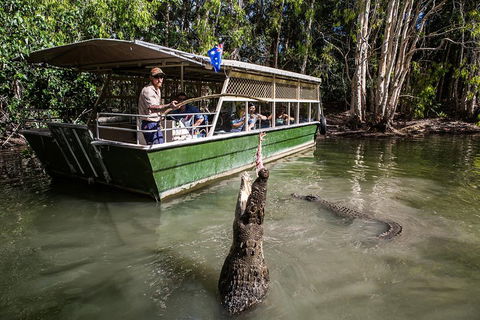 Hartley's Crocodile Adventures Day Trip From Cairns - Pubs Sydney 2