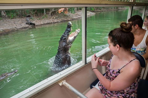 Hartley's Crocodile Adventures Day Trip From Cairns - Pubs Sydney 3