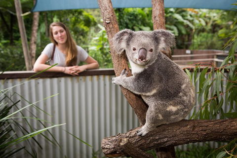 Hartley's Crocodile Adventures Day Trip From Cairns - Pubs Sydney 5