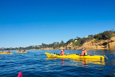 Mornington Peninsula Kayak Coastline Tour Of Dolphin Sanctuary - Pubs Sydney 1