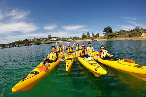 Mornington Peninsula Kayak Coastline Tour Of Dolphin Sanctuary - Pubs Sydney 2