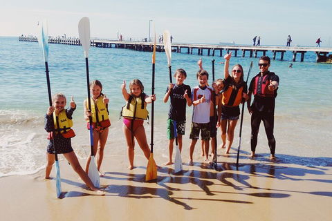 Mornington Peninsula Kayak Coastline Tour Of Dolphin Sanctuary - Pubs Sydney 3
