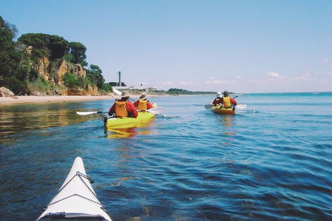Mornington Peninsula Kayak Coastline Tour Of Dolphin Sanctuary - Pubs Sydney 5