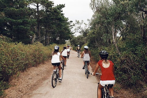 Self-Guided Point Nepean National Park Bike Hire - Pubs Sydney 3