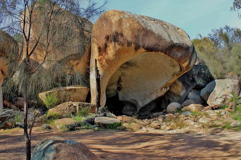 Wave Rock & Rottnest Island - Air & Ground Tour - Pubs Sydney 4