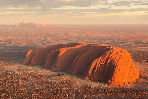 Helicopter Scenic: Lizard Safari - Pubs Sydney 0