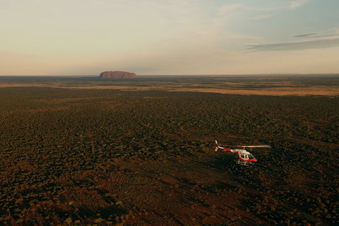 Helicopter Scenic: Lizard Safari - Pubs Sydney 4